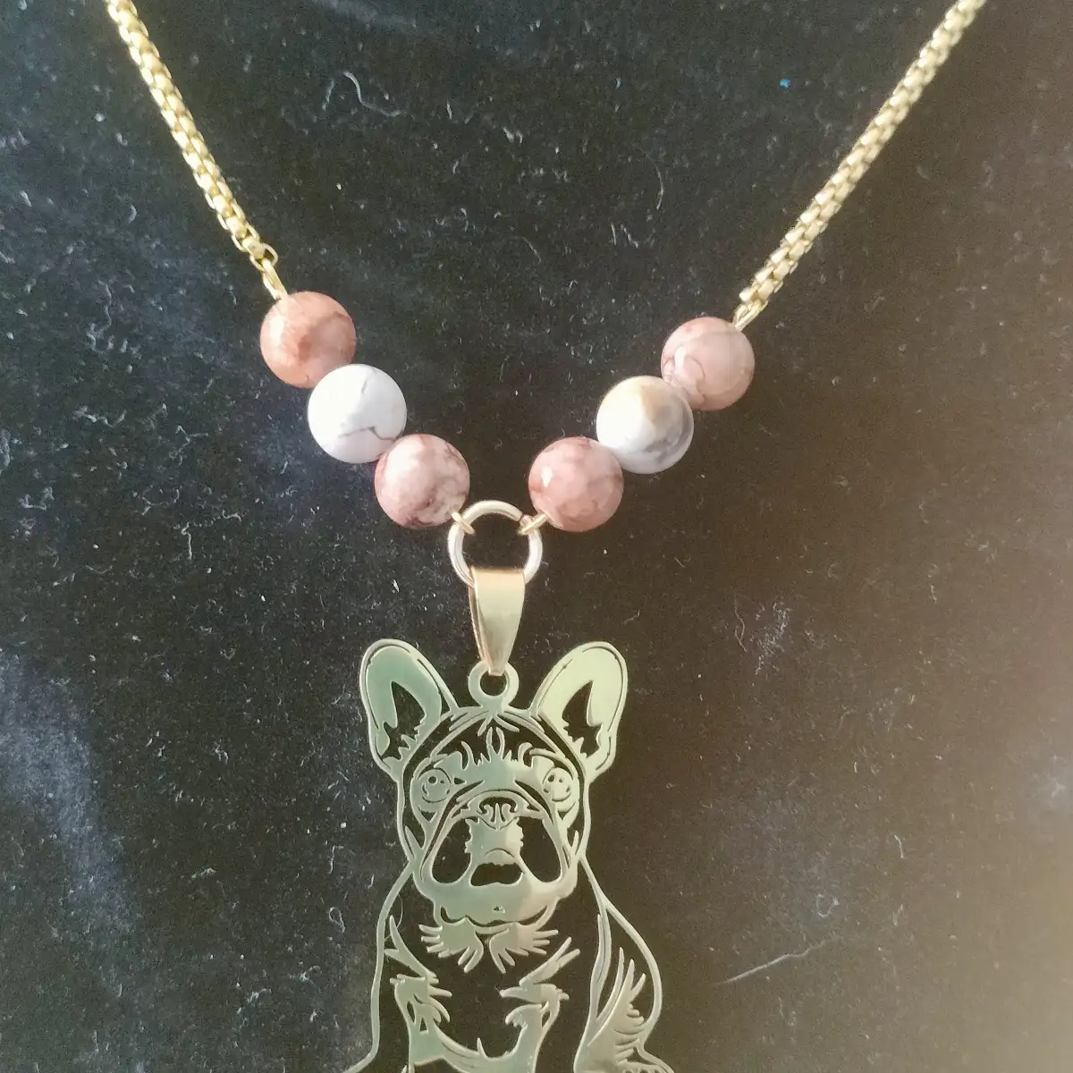 Collier bulldog Nino