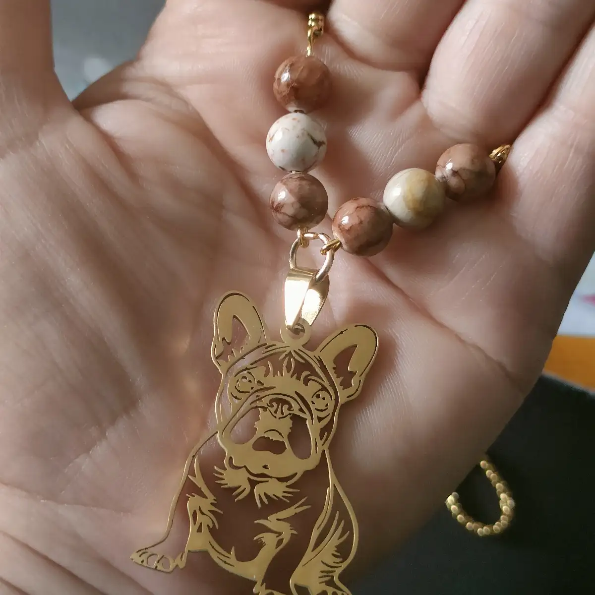 Collier bulldog Nino