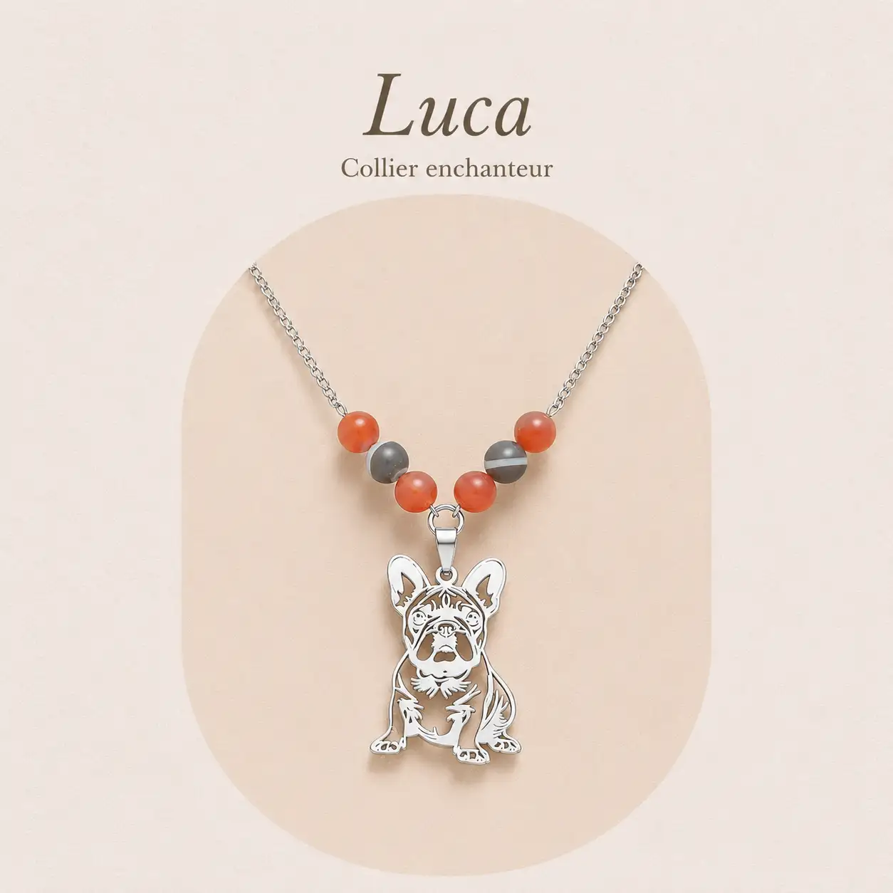 Collier bulldog Luca