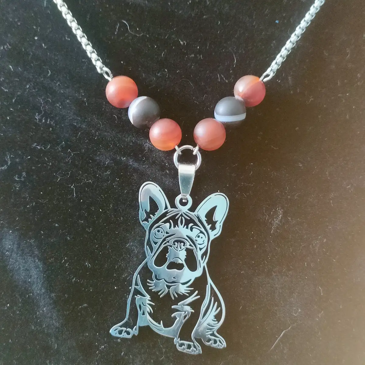 Collier bulldog Luca
